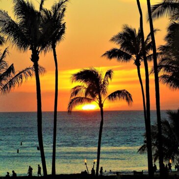 הוואי מציעה דמי תייר למימון הגנת הסביבה